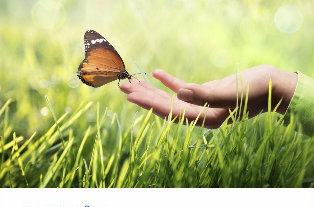 Rakoll od ponad 150 lat zawsze na topie